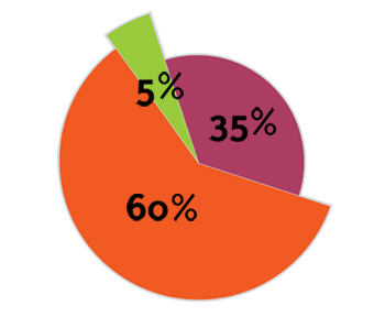 Pie Chart